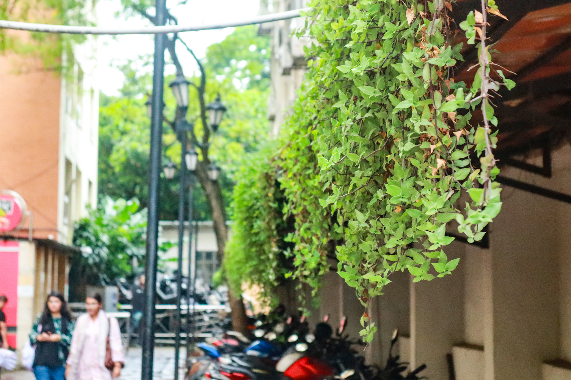 A campus that lives and breathes ideas