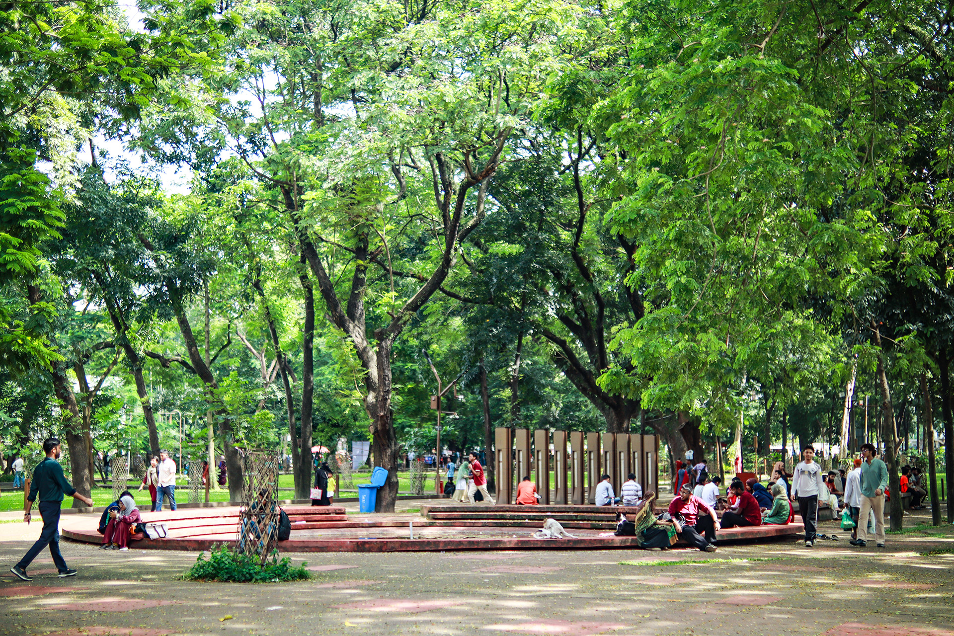 A campus that lives and breathes ideas