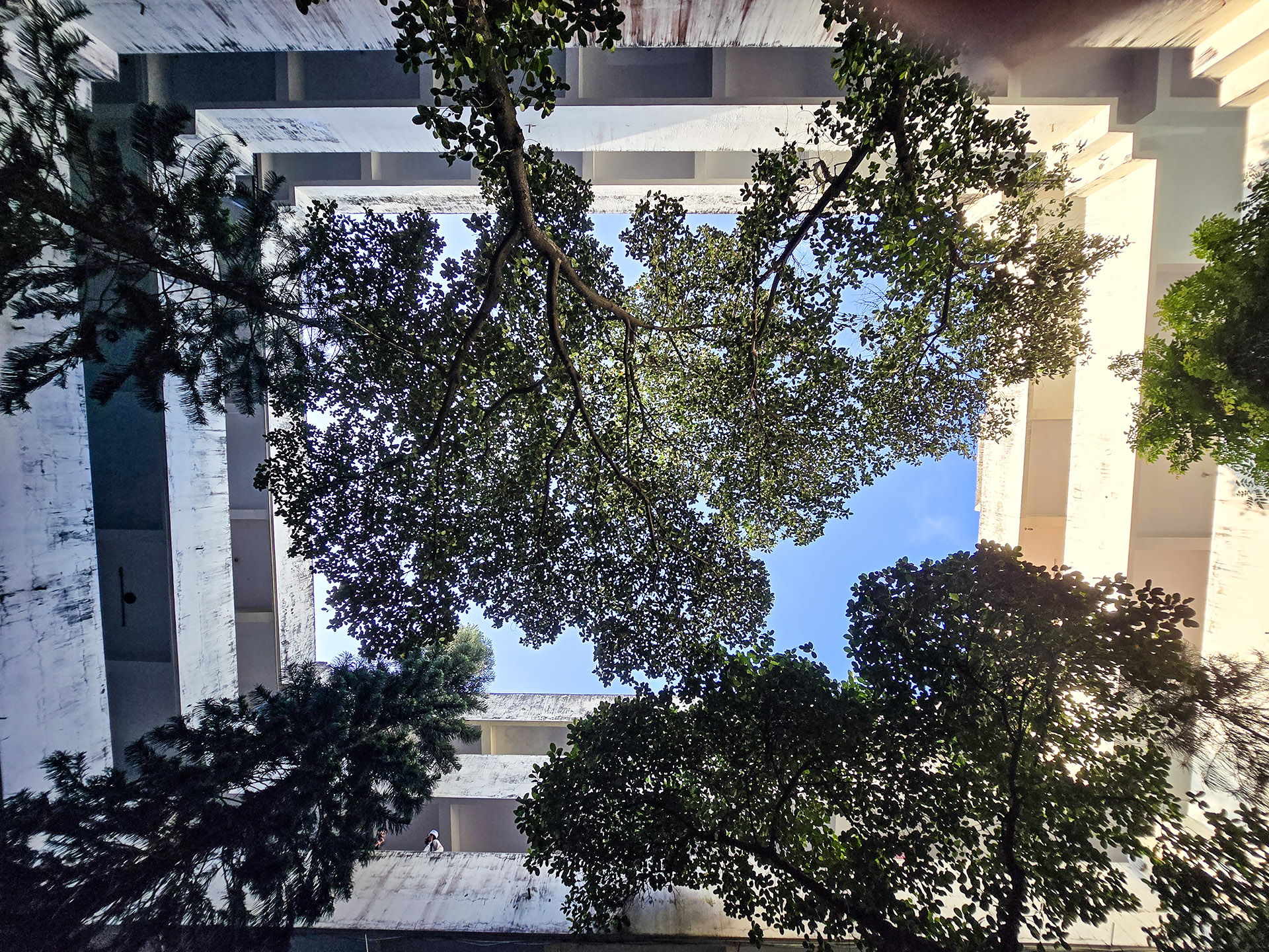 A campus that lives and breathes ideas